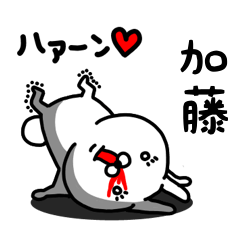 [LINEスタンプ] 加藤専用うさぎ名前スタンプ