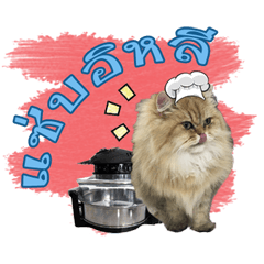 [LINEスタンプ] GF kitchen 2