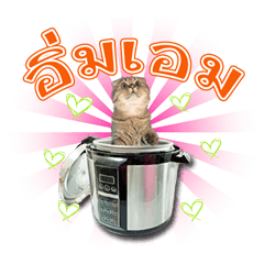 [LINEスタンプ] GF kitchen 1