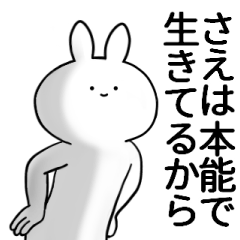 [LINEスタンプ] さえが使うシュール名前スタンプ