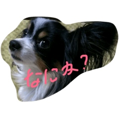 [LINEスタンプ] リンナナモコ
