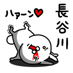 [LINEスタンプ] 長谷川専用うさぎ名前スタンプ