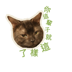 [LINEスタンプ] My cats are so cute.2