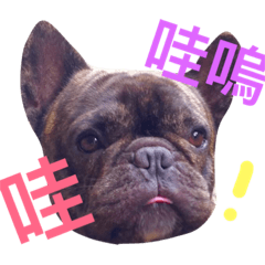 [LINEスタンプ] tattoo pig/ bulldog