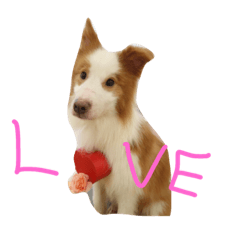 [LINEスタンプ] そらゆう