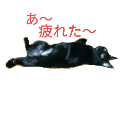 [LINEスタンプ] 我が家のペッツ達1