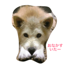 [LINEスタンプ] メルモの独り言