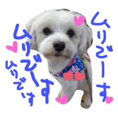[LINEスタンプ] りゅうちぇるの毎日