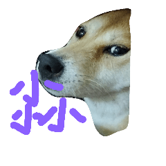 [LINEスタンプ] my shiba