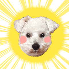 [LINEスタンプ] 保護犬はなとリクガメビリー