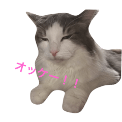 [LINEスタンプ] くー その3