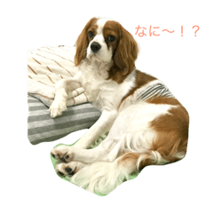 [LINEスタンプ] ぷぺぽの日常