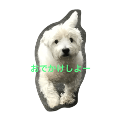 [LINEスタンプ] 琥珀と天斗