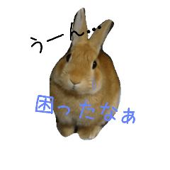 [LINEスタンプ] ネザーのタロちゃん