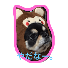 [LINEスタンプ] 蘭丸からのコトバ