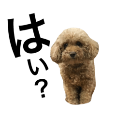 [LINEスタンプ] うちの犬たちだよ2