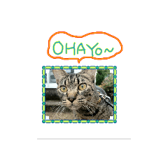 [LINEスタンプ] dear two cute cats 