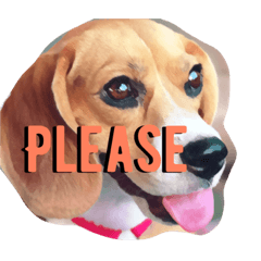 [LINEスタンプ] beagle drawing