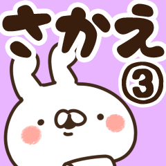 [LINEスタンプ] 【さかえ】専用3