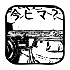 [LINEスタンプ] カナヘビ3兄弟