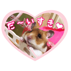 [LINEスタンプ] ももちゃん☆バレンタイン・バージョン