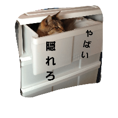 [LINEスタンプ] ももcat1