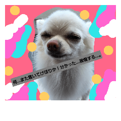 [LINEスタンプ] putupwith