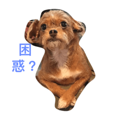 [LINEスタンプ] mabel3726