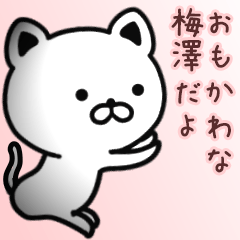 [LINEスタンプ] 梅澤さん専用面白可愛い名前スタンプ