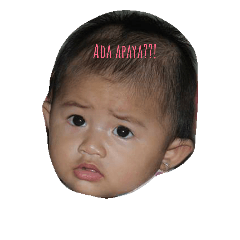 [LINEスタンプ] Hi my name is alesha