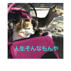 [LINEスタンプ] 優愛斗
