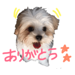 [LINEスタンプ] ふくくんです。