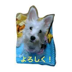 [LINEスタンプ] あんちゃん！