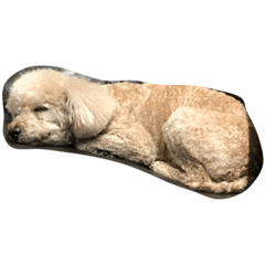 [LINEスタンプ] ココナの愛犬たち