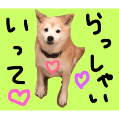 [LINEスタンプ] ちびちゃーん