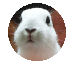 [LINEスタンプ] LEPUS