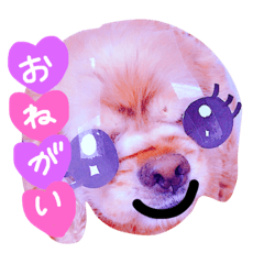 [LINEスタンプ] そらそっちゃん