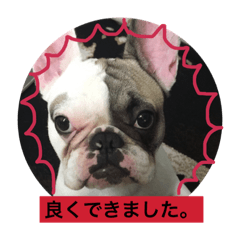 [LINEスタンプ] ブルカム君