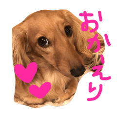 [LINEスタンプ] うちのビビちゃん3