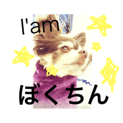 [LINEスタンプ] I'am ぼくちん