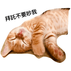 [LINEスタンプ] TaiTaidd