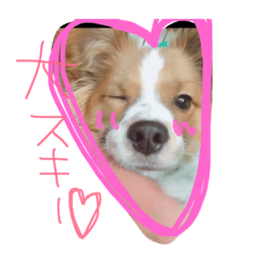 [LINEスタンプ] LOVECHA-CHAmaru