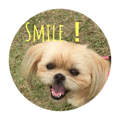 [LINEスタンプ] パプワ