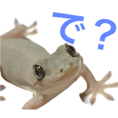 [LINEスタンプ] ヤモリのすたんぷ