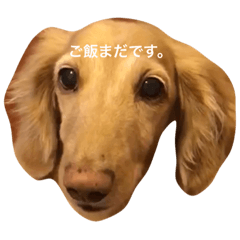 [LINEスタンプ] もんくんスタンプ