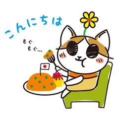 [LINEスタンプ] はちねこプロジェクト