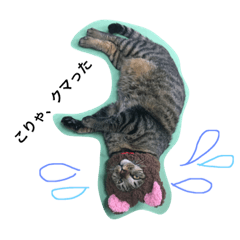 [LINEスタンプ] 我が家のにゃーず