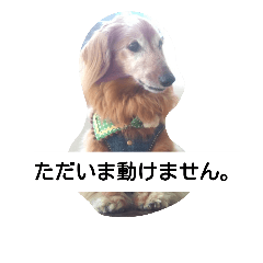 [LINEスタンプ] けんた様なんです。