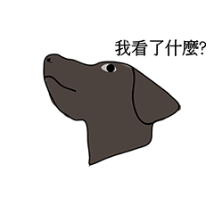 [LINEスタンプ] bang dog