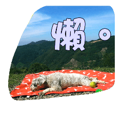 [LINEスタンプ] I'm not Calpis！